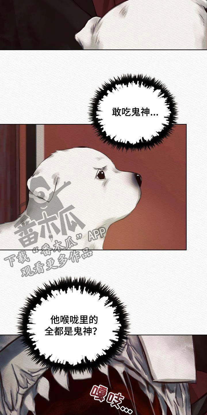 第17章：巫师9