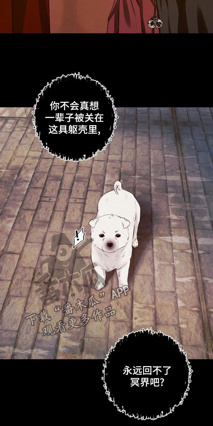 第26章：调查6