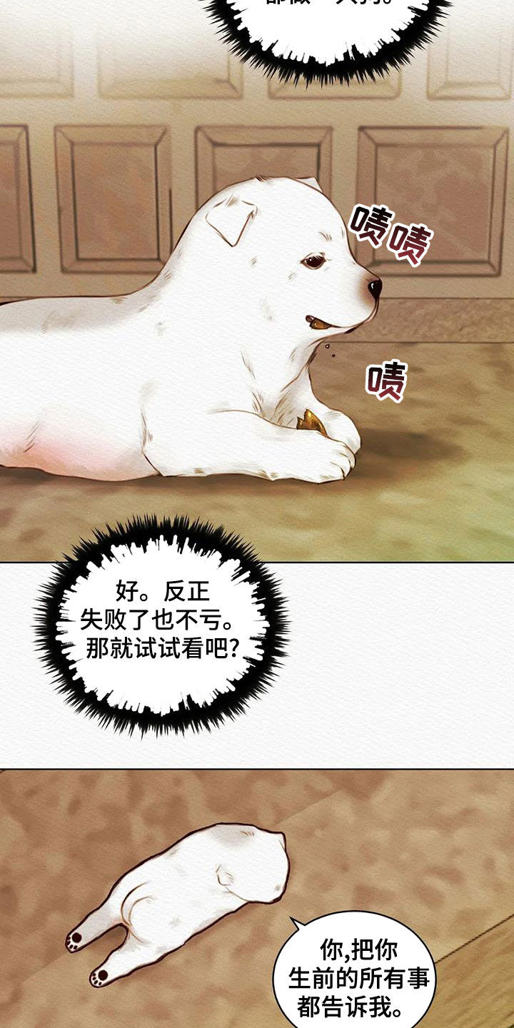 第26章：调查14