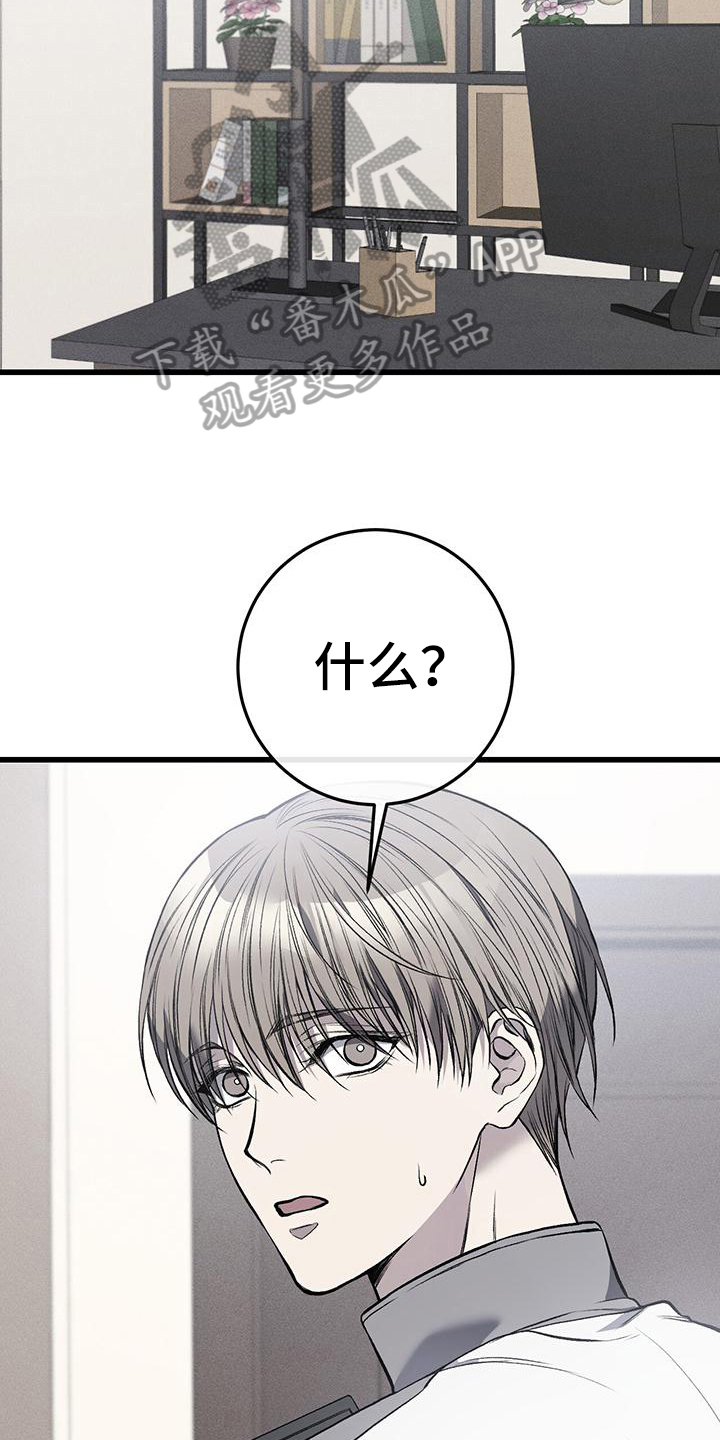 第16章：猜测5