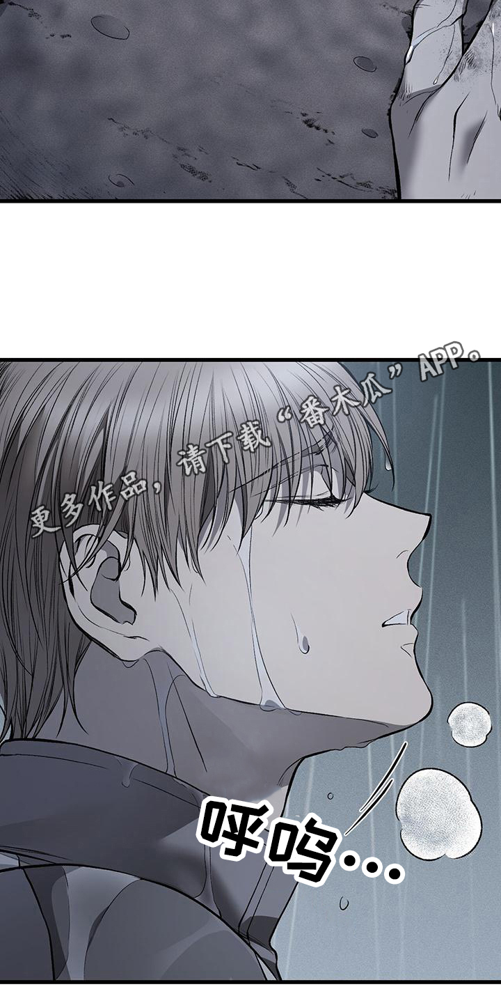 第14章：藏钱17