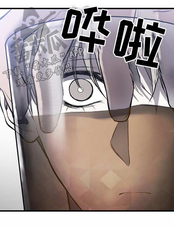 第10章：提议19