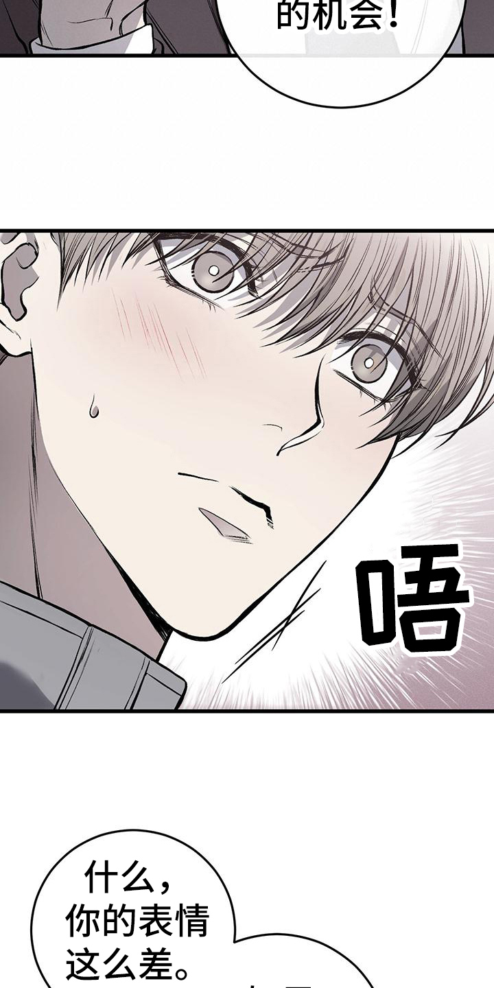 第17章：机会1