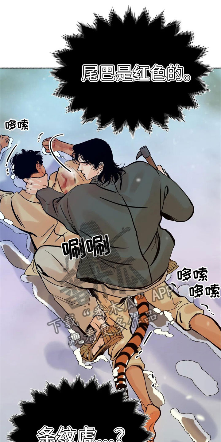 第8章：误认11