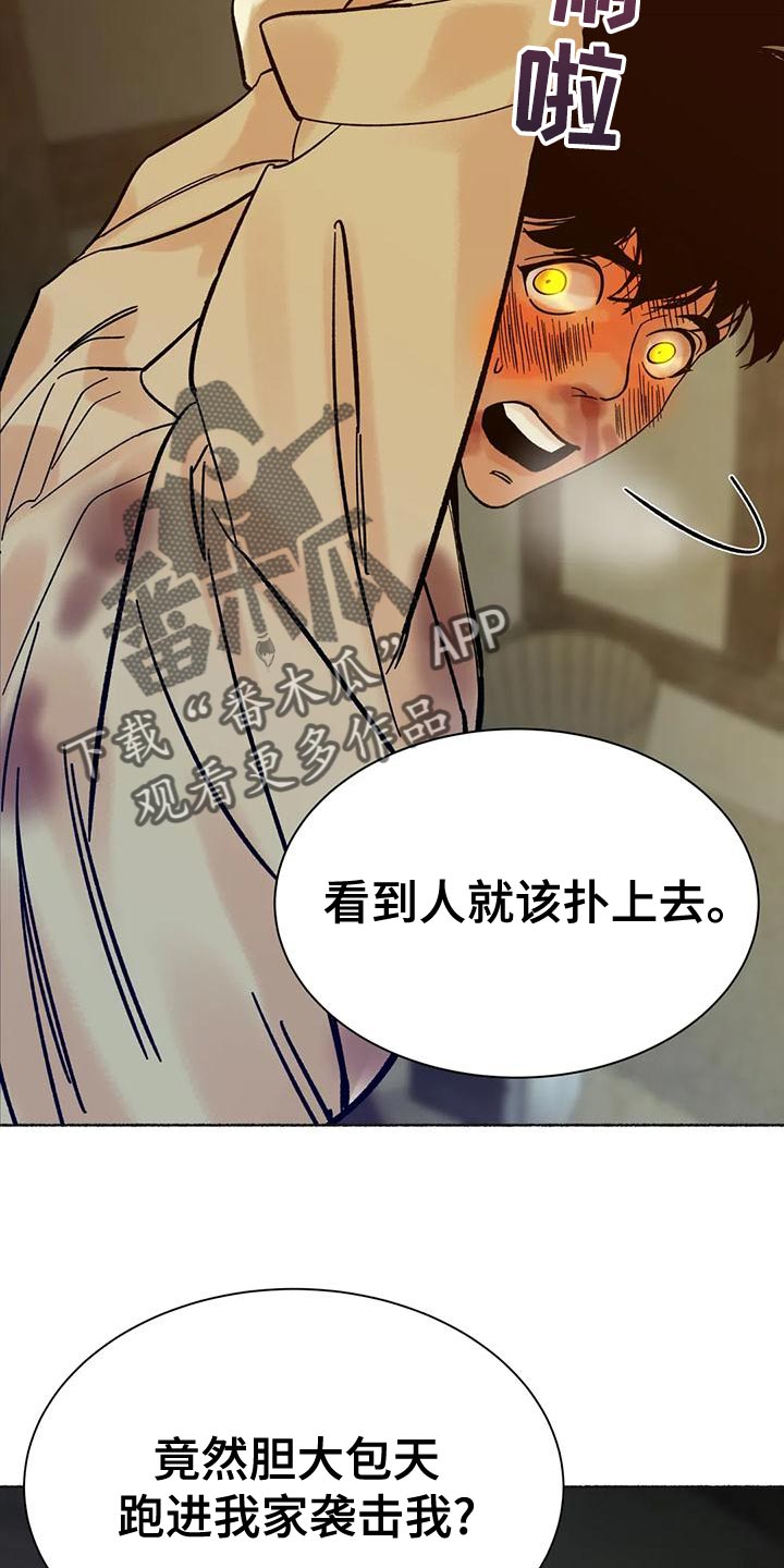 第26章：疯狂11