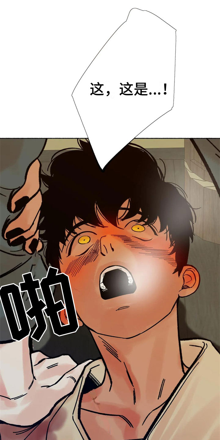 第19章：必须离开5