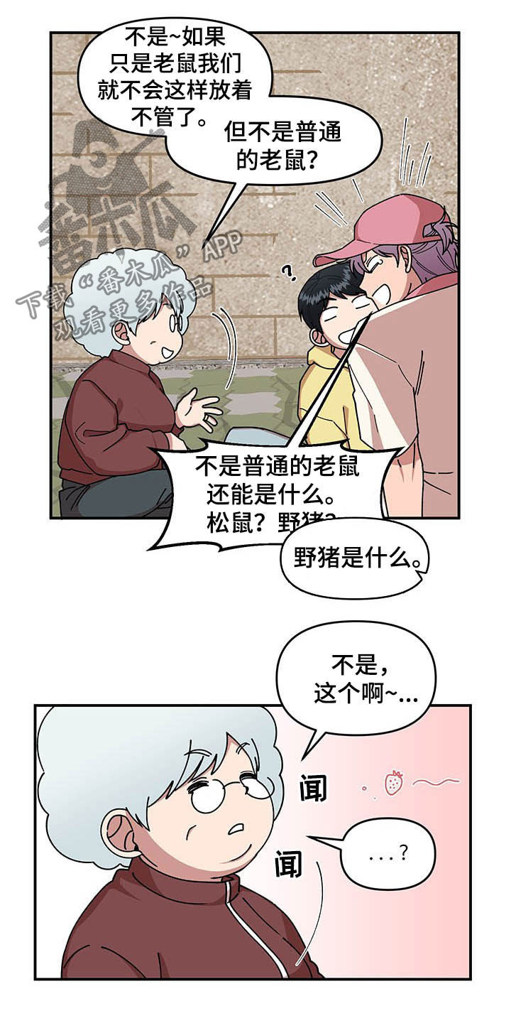 第20章：草莓爱好者11