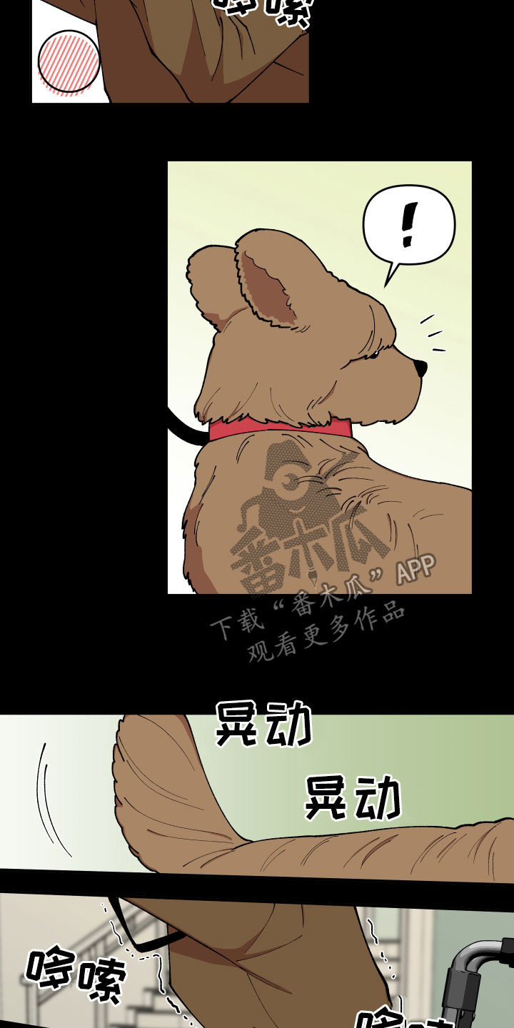 第42章：狗主人10