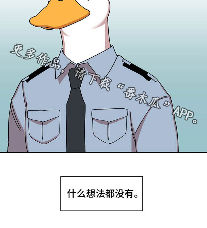 第17章：收获18