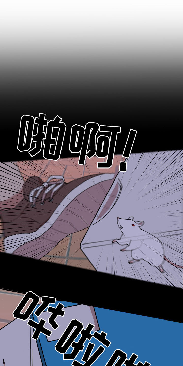 第48章：戒备19