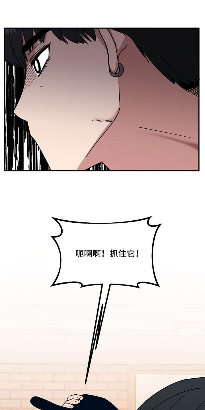 第24章：摄像机20
