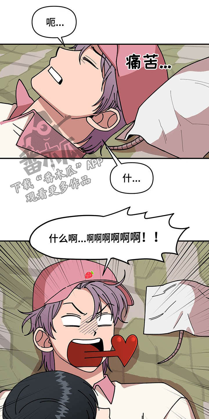 第20章：草莓爱好者9