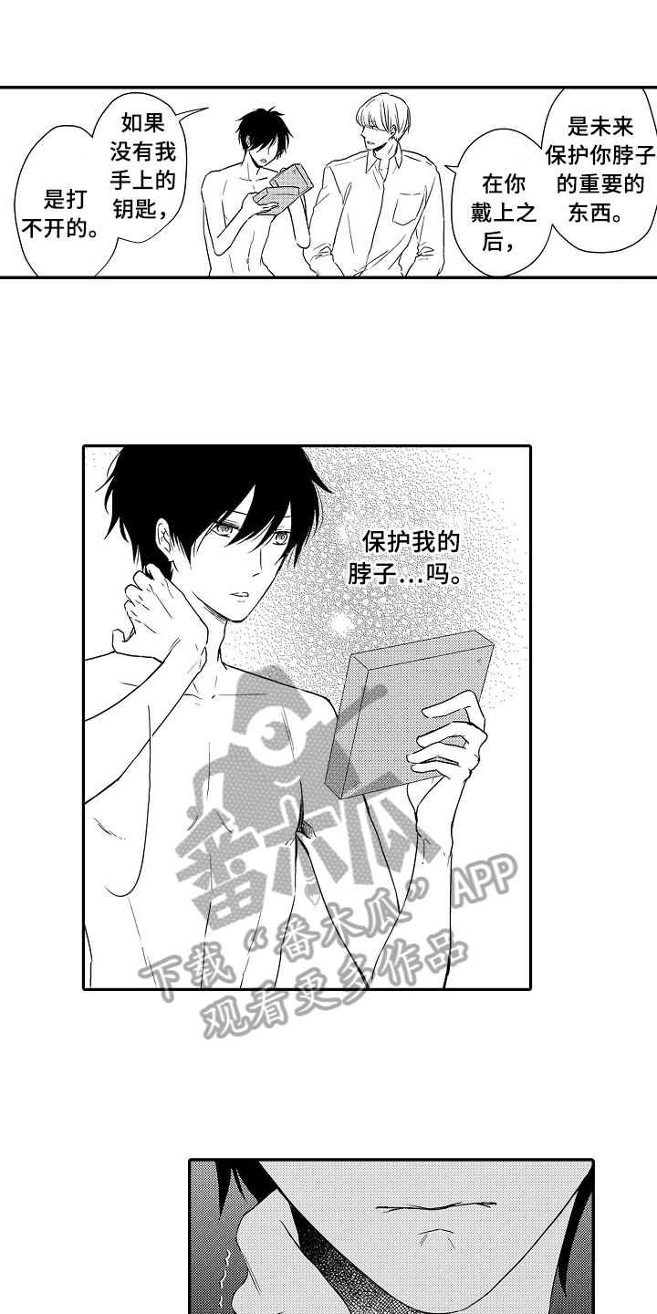 第20章：项链0
