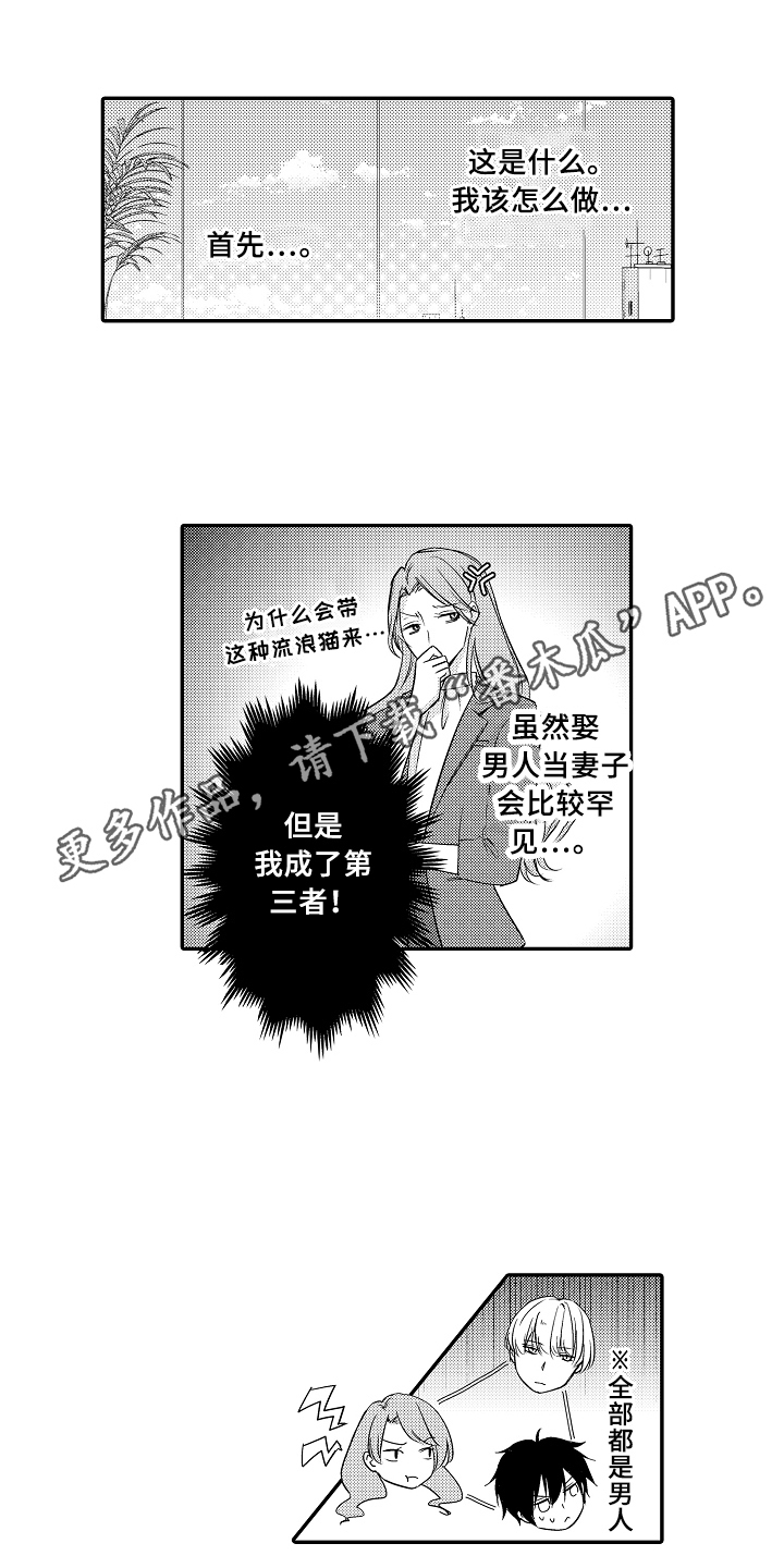 第4章：猜测17
