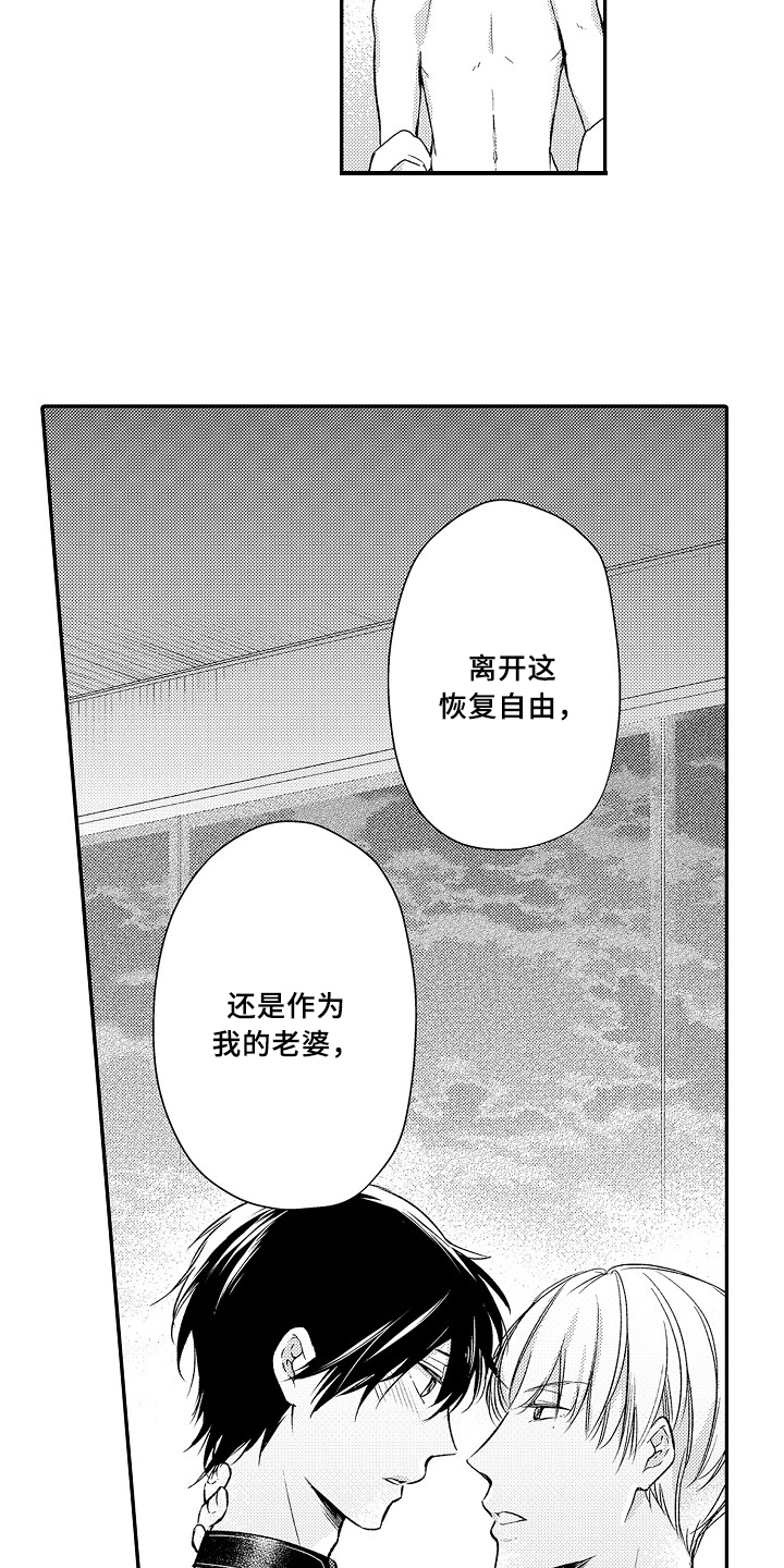 第26章：选择14