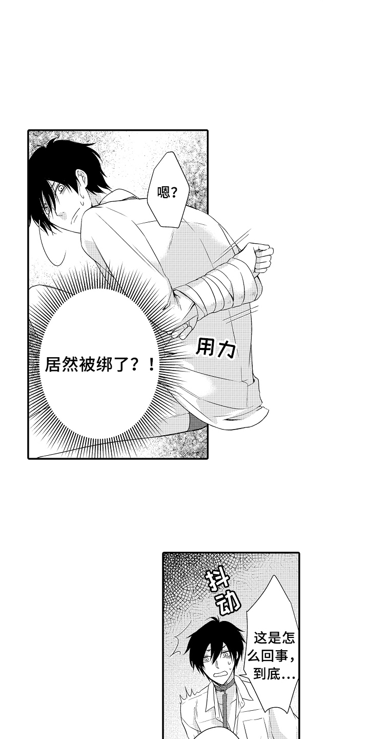 第1章：拍卖10
