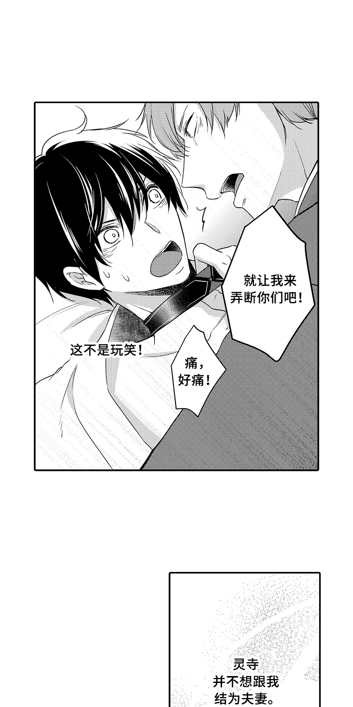 第23章：拒绝13