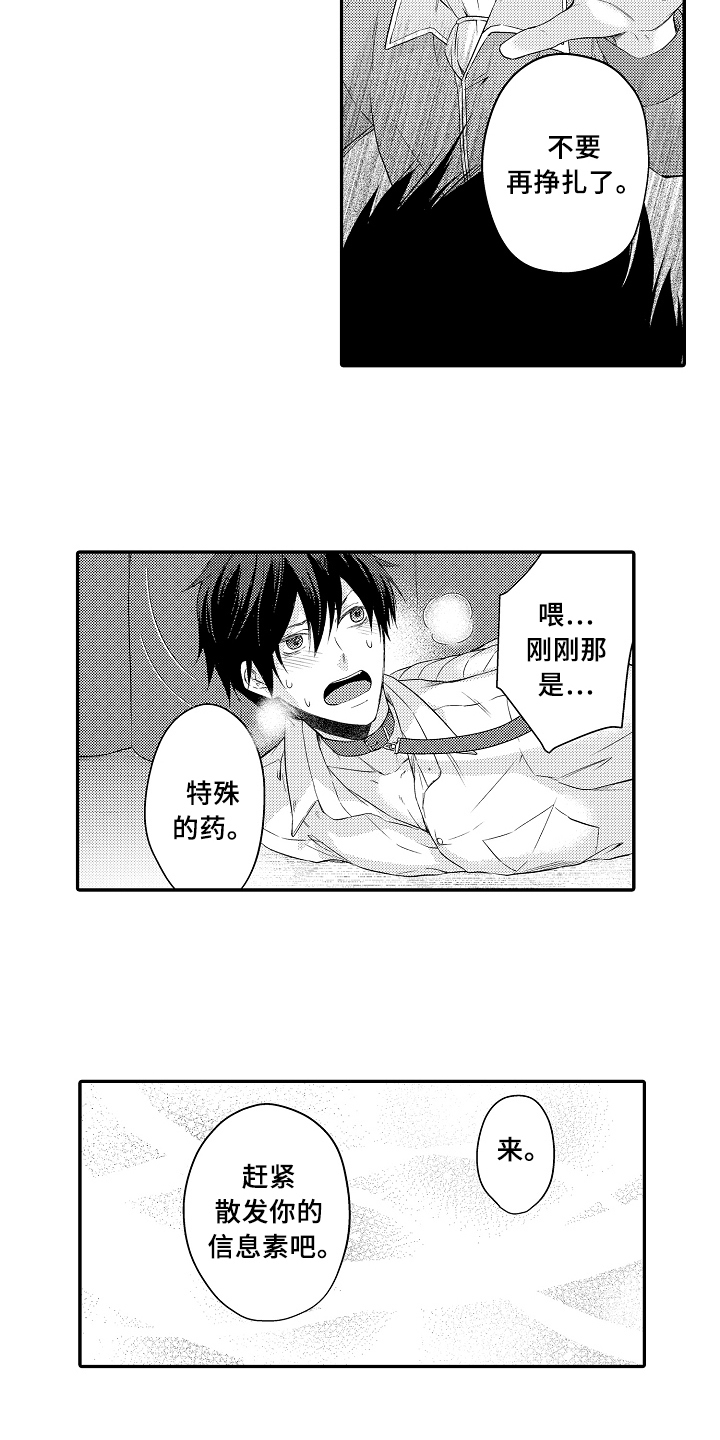 第2章：买下1