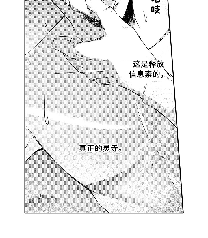 第27章：真正的灵寺13