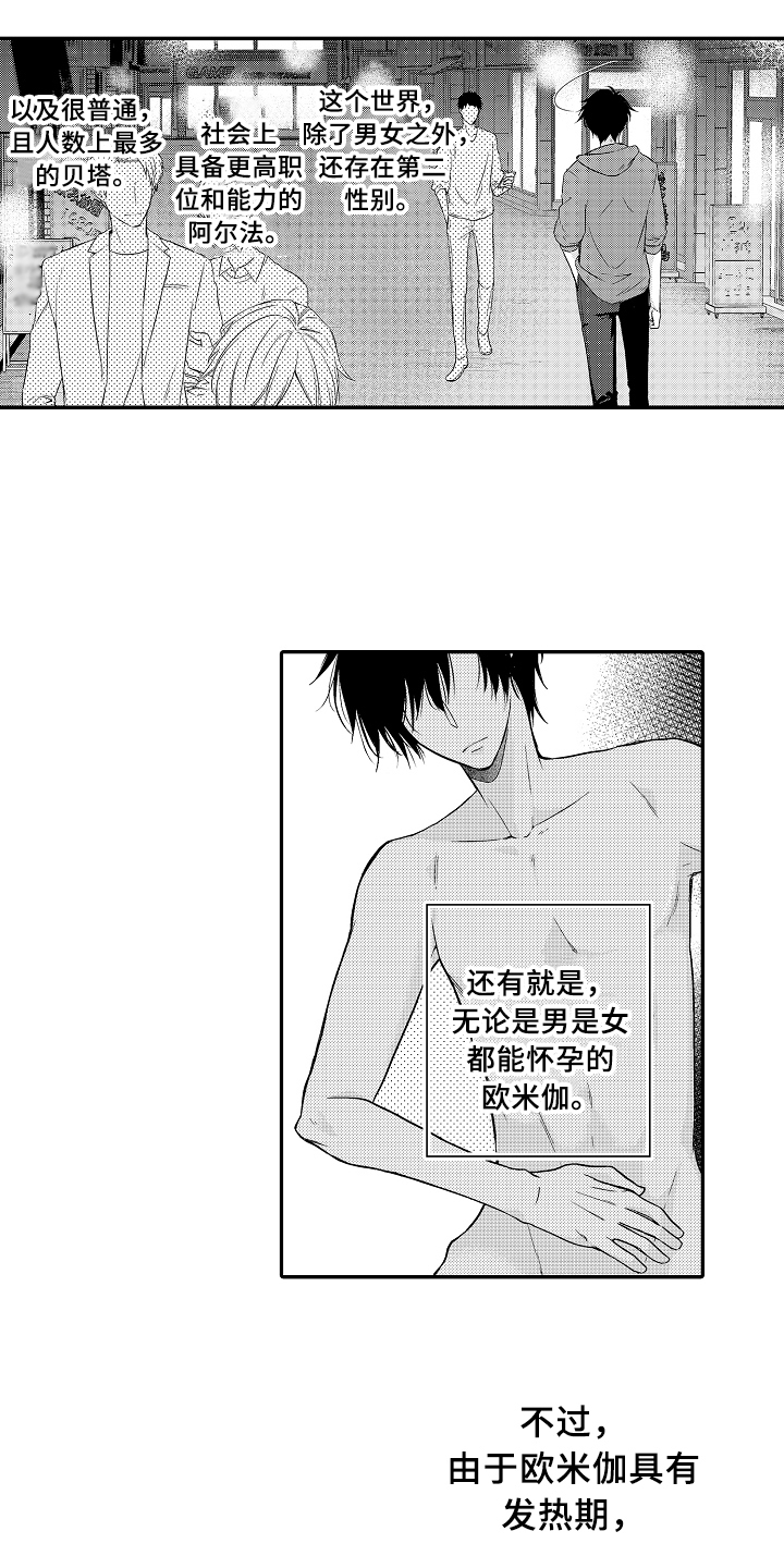 第1章：拍卖2