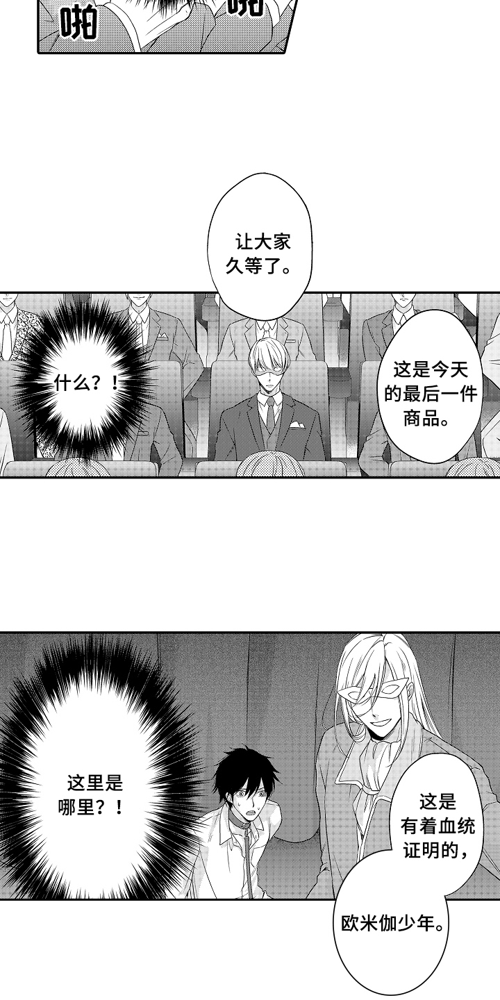 第1章：拍卖13