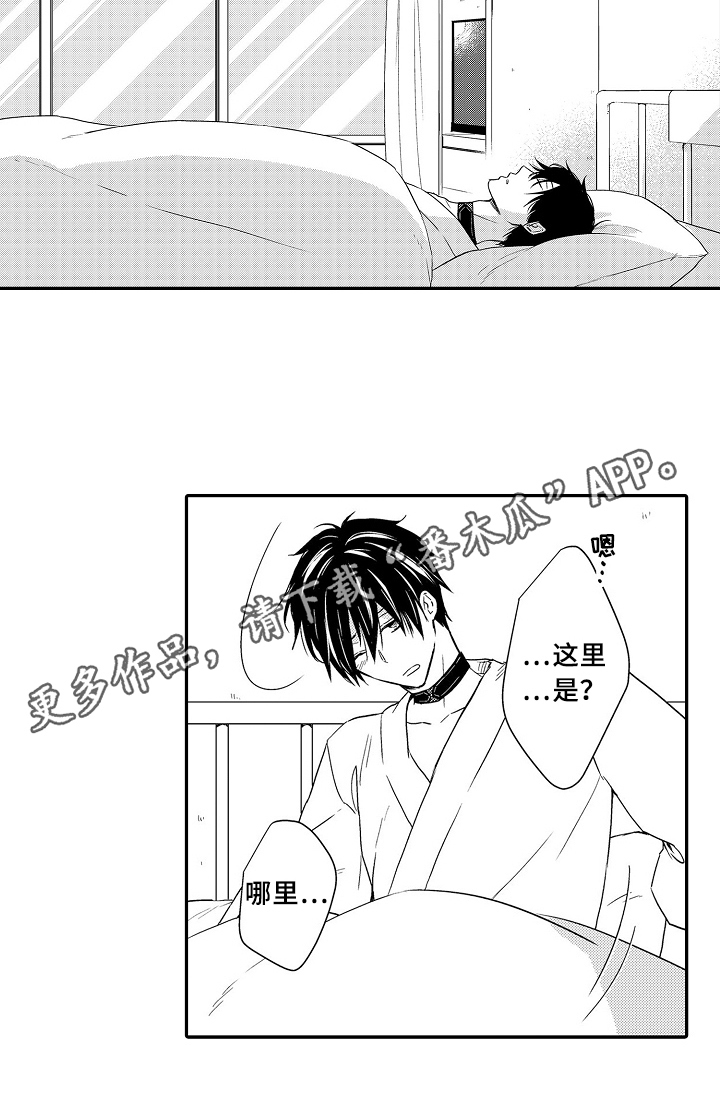 第20章：项链14