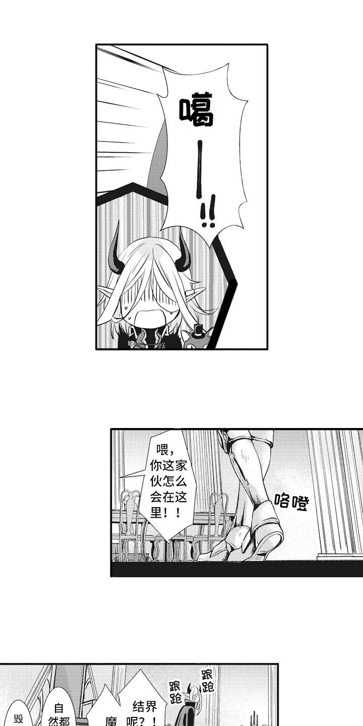 第3章：入侵11