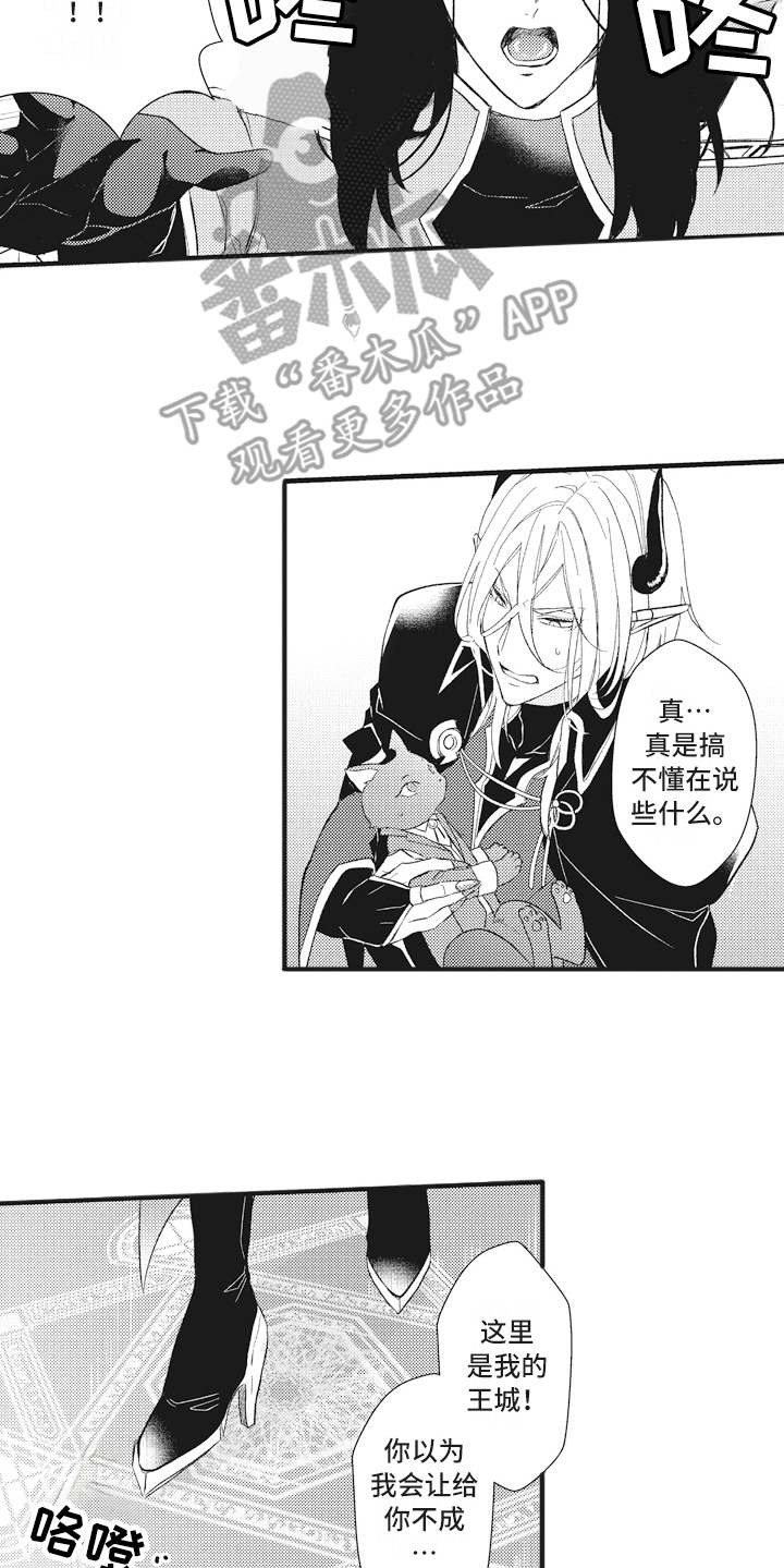 第17章：鸠占鹊巢5