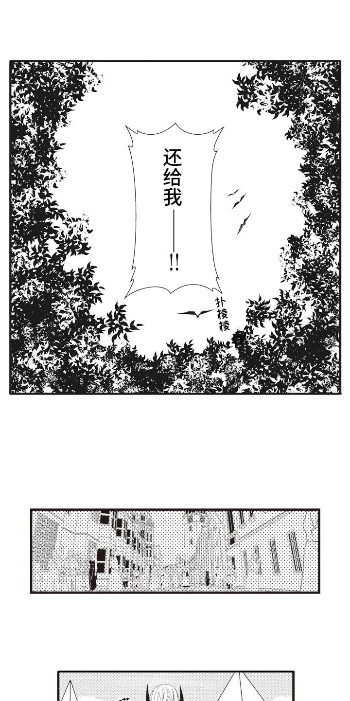 第17章：鸠占鹊巢11