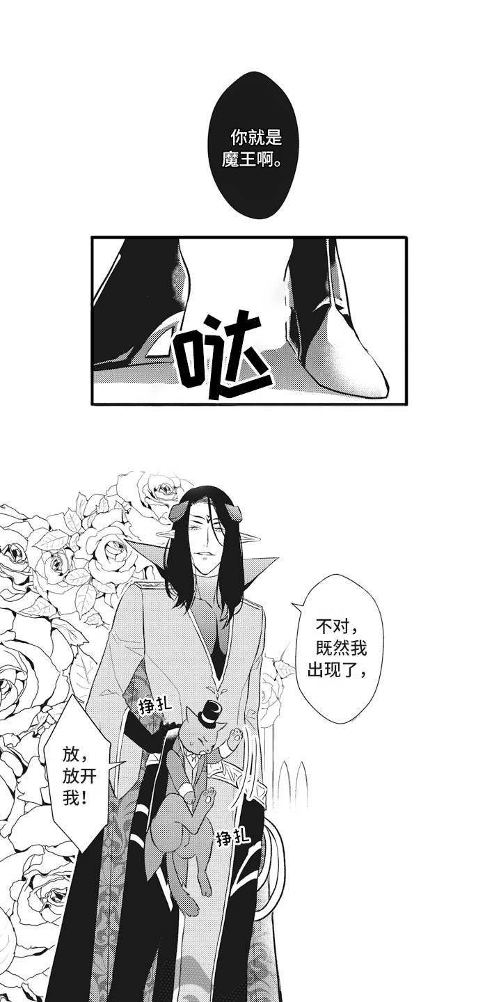 第17章：鸠占鹊巢0