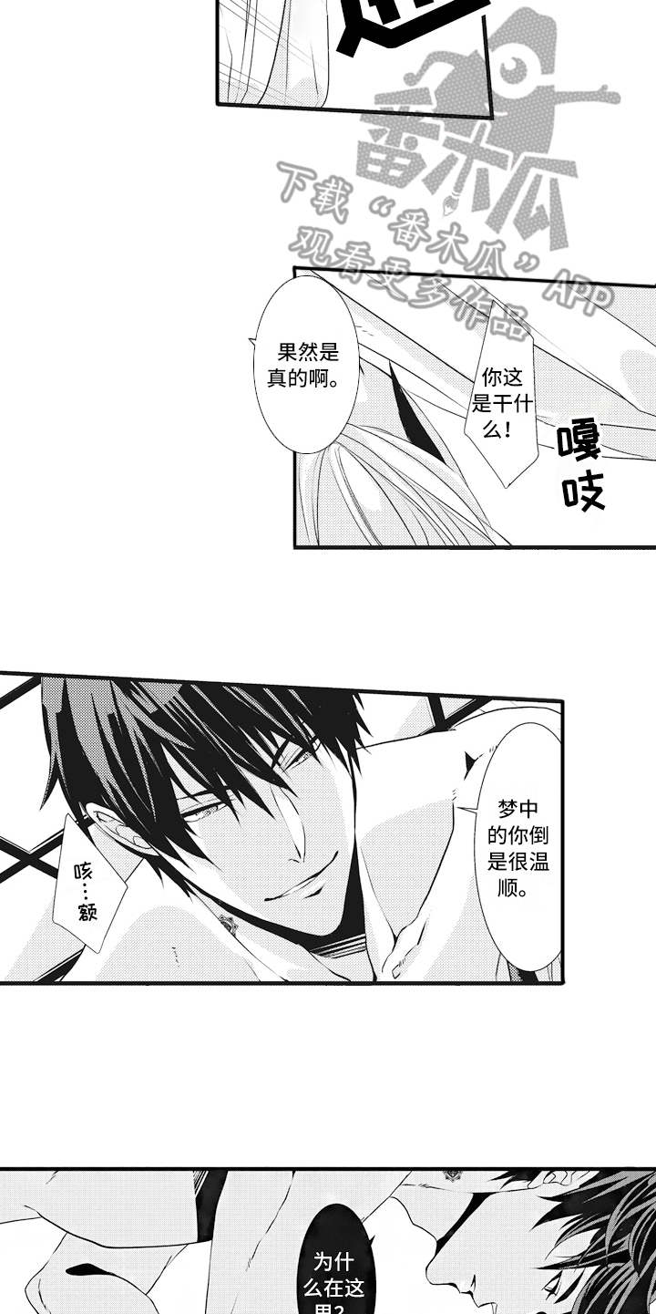 第8章：主导权9