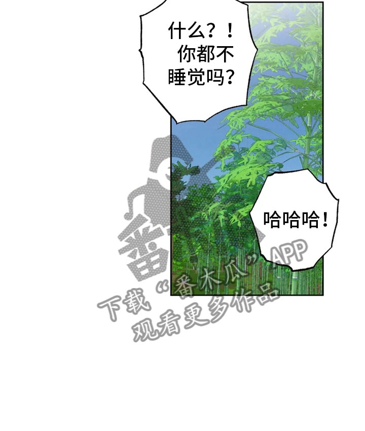 第26章：生辰礼物7