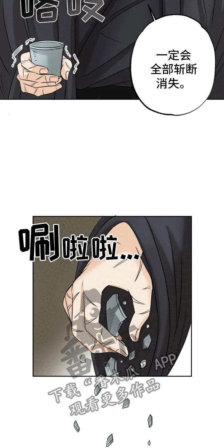 第21章：幕后之人11