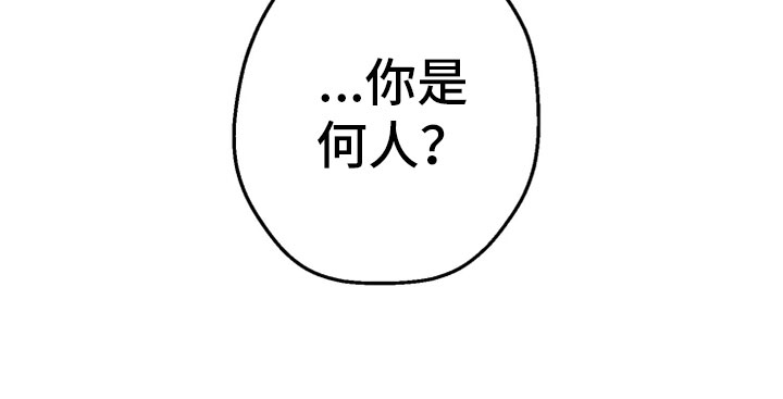 第2章：未知来人18