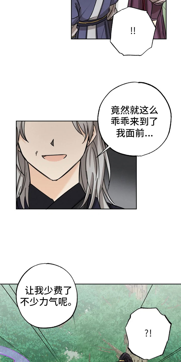第32章：正面对峙19