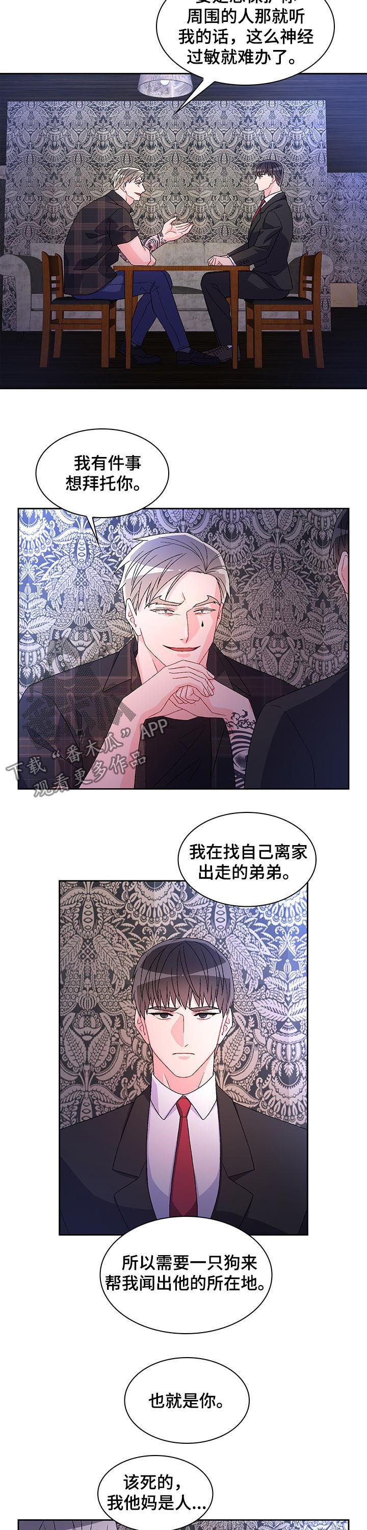 第57章：离家出走的弟弟（第一季完结）8