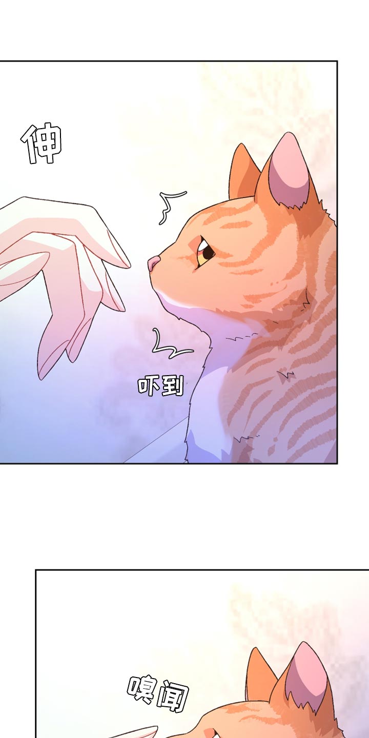 第196章：【第三季】订制戒指0