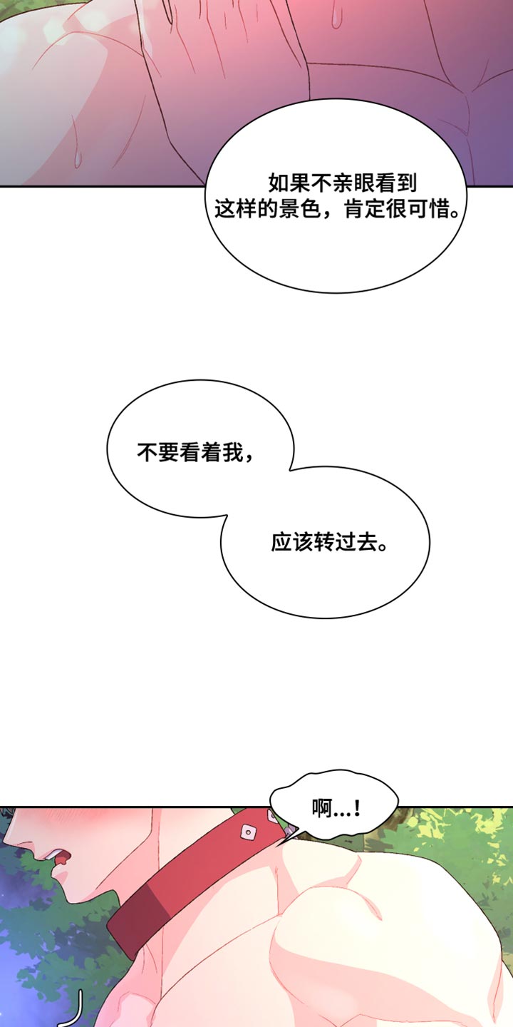 第191章：【第三季】不可以看着我16