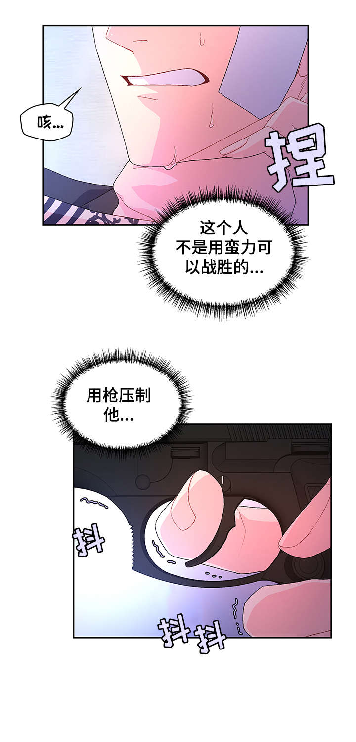第21章：枪12