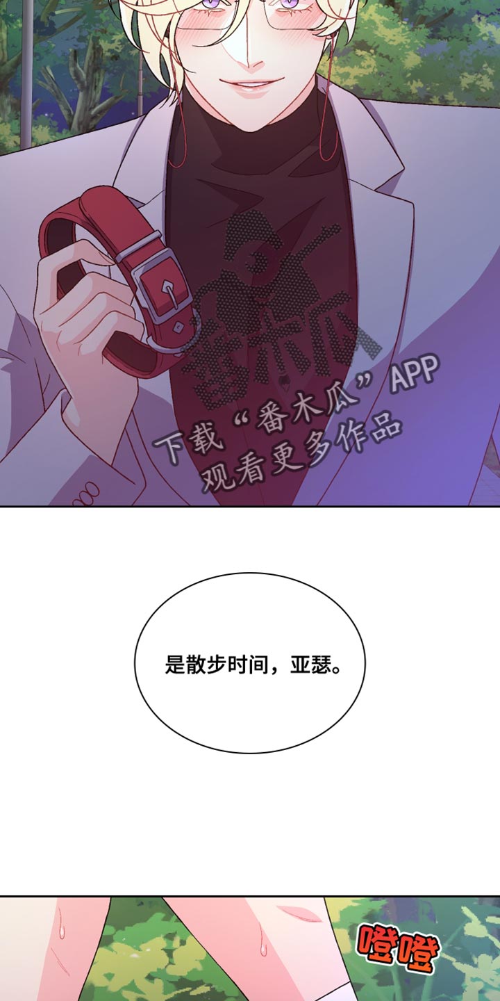 第189章：【第三季】散步时间21