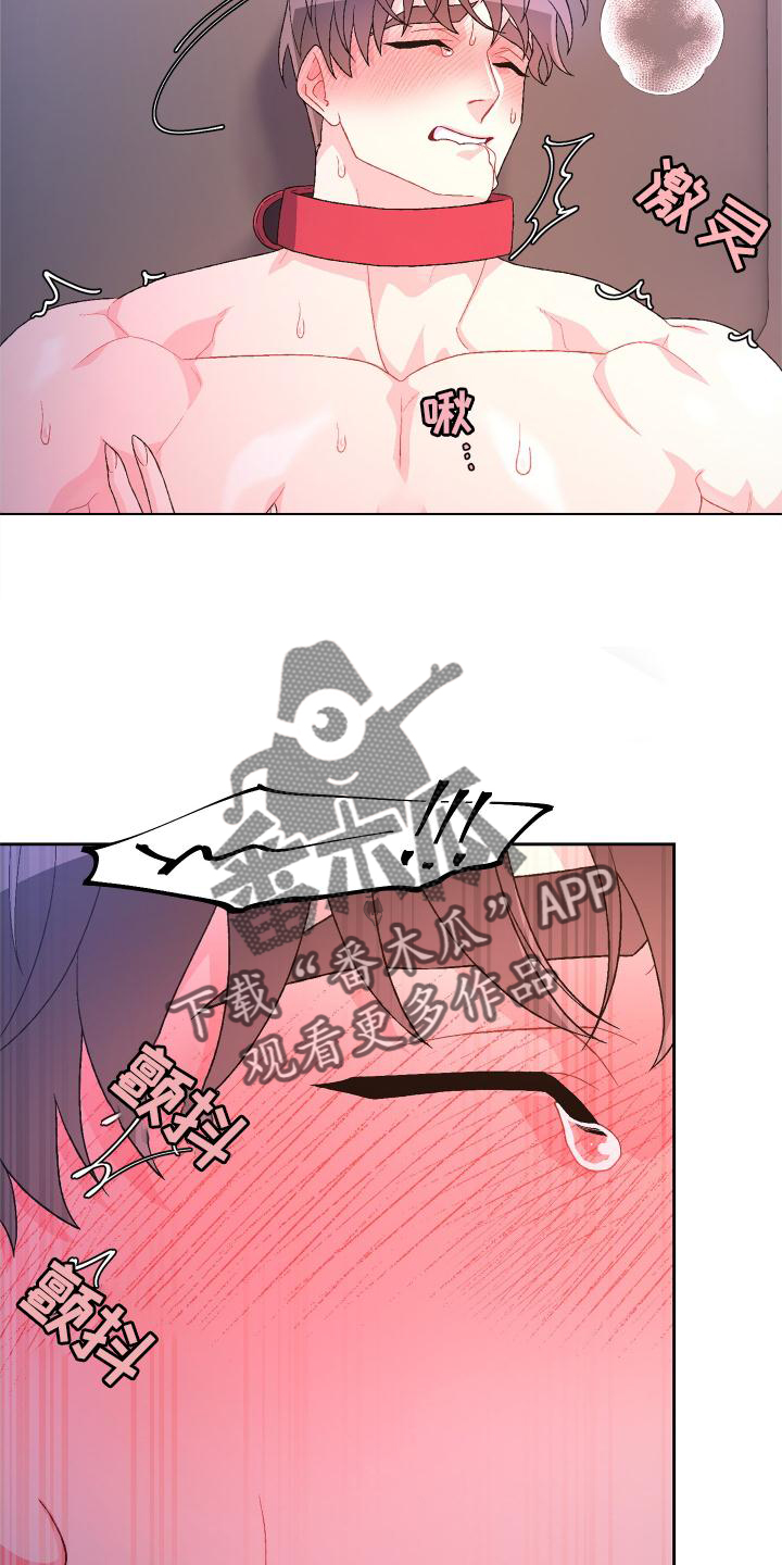 第177章：【第三季】归宿15