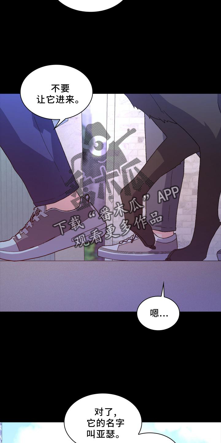 第183章：【第三季】嫌弃25
