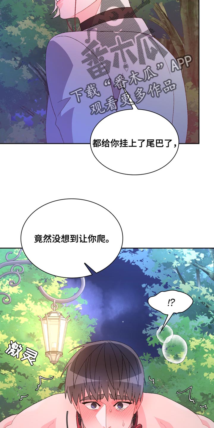 第189章：【第三季】散步时间29