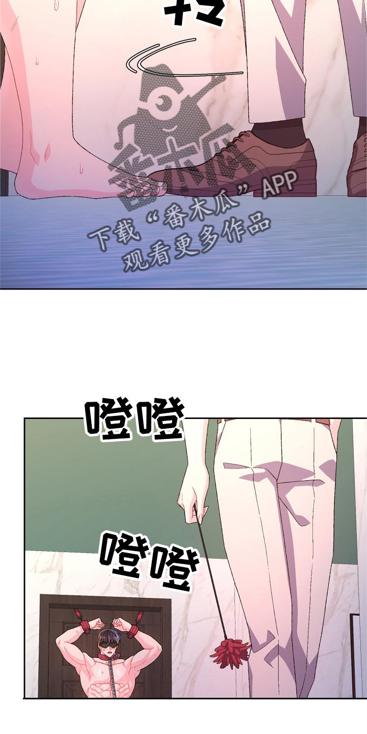 第158章：【第三季】满足8