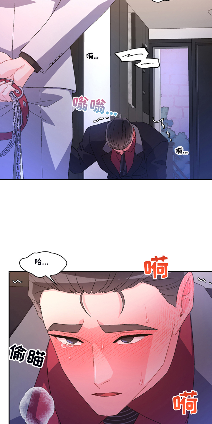 第122章：【第二季】特别的礼物2