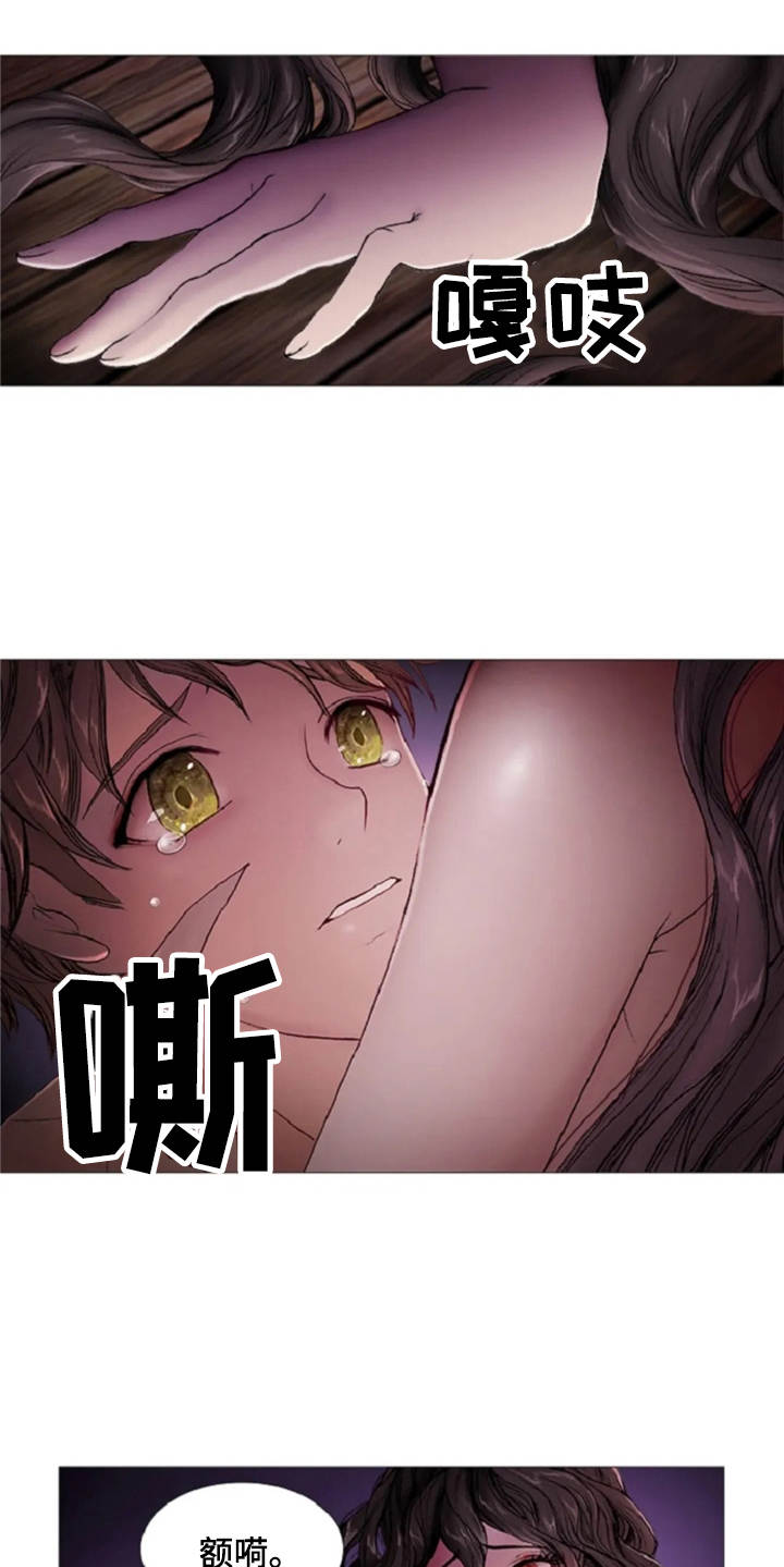 第15章：无可奈何17