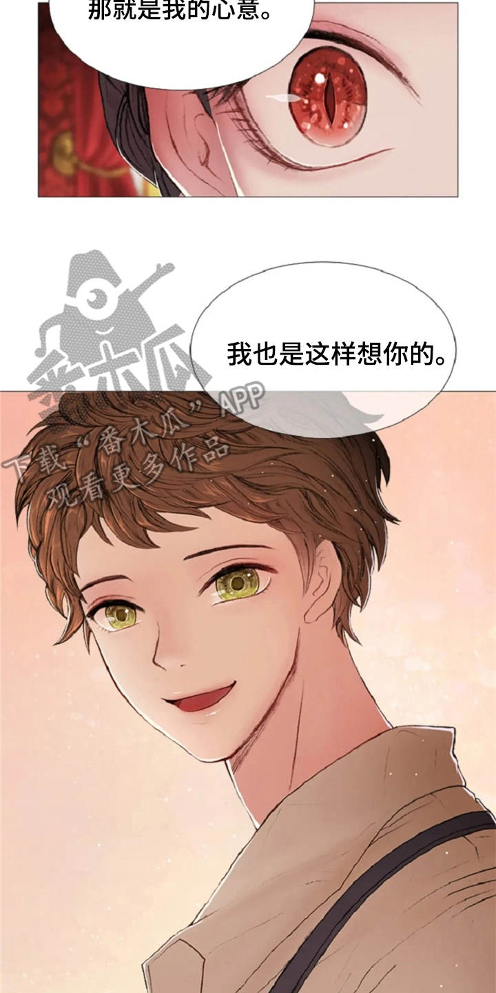 第13章：一样的想法20