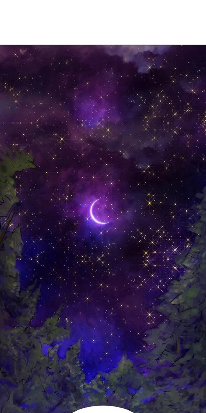 第3章：闪耀的星星8