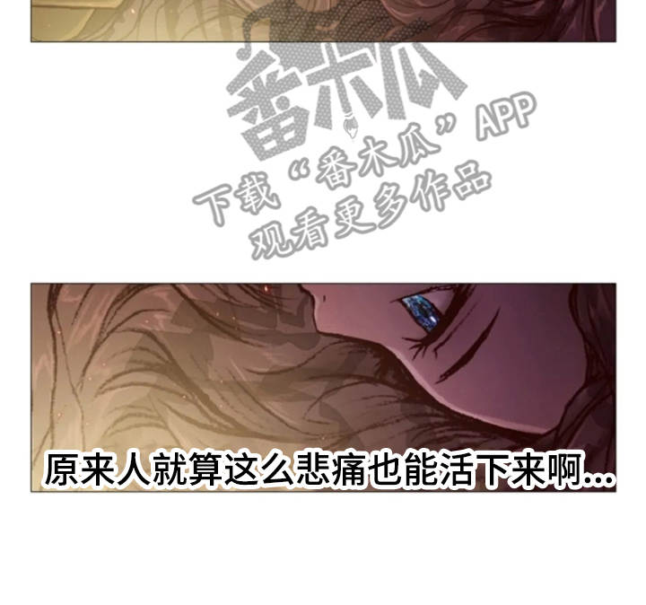 第31章：眼泪22