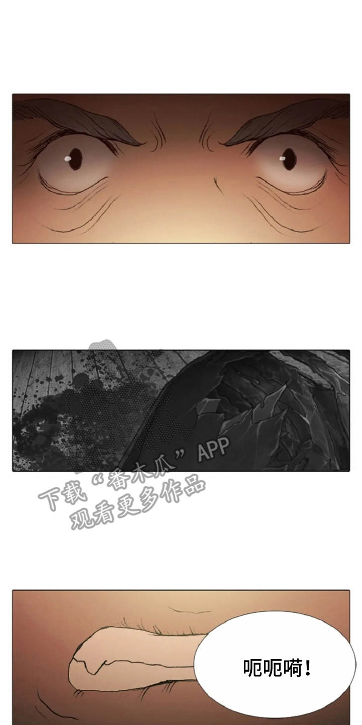 第21章：误解17